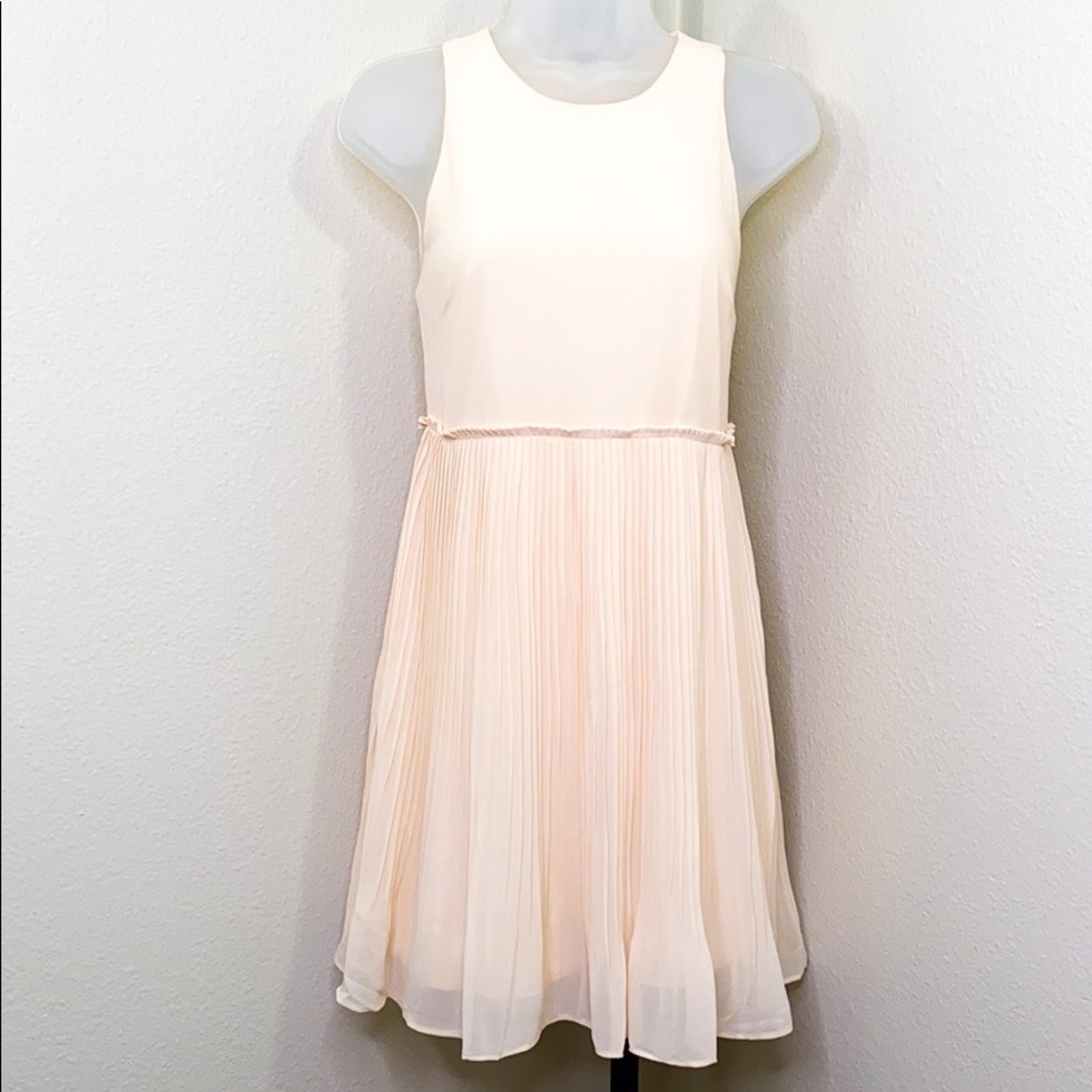 NWT NAKED ZEBRA Cream Chiffon Pleat Shift Dress S